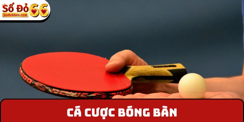 Cá cược bóng bàn