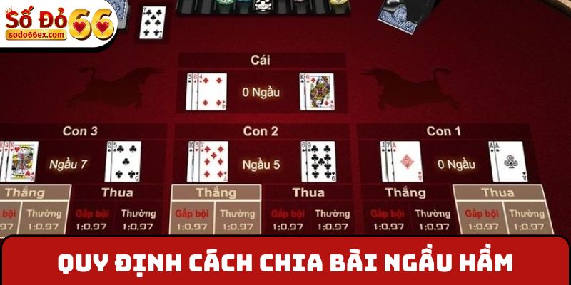 Quy định cách chia bài Ngầu Hầm